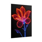 Rolled Posters