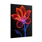 Rolled Posters