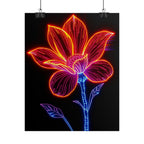 Rolled Posters