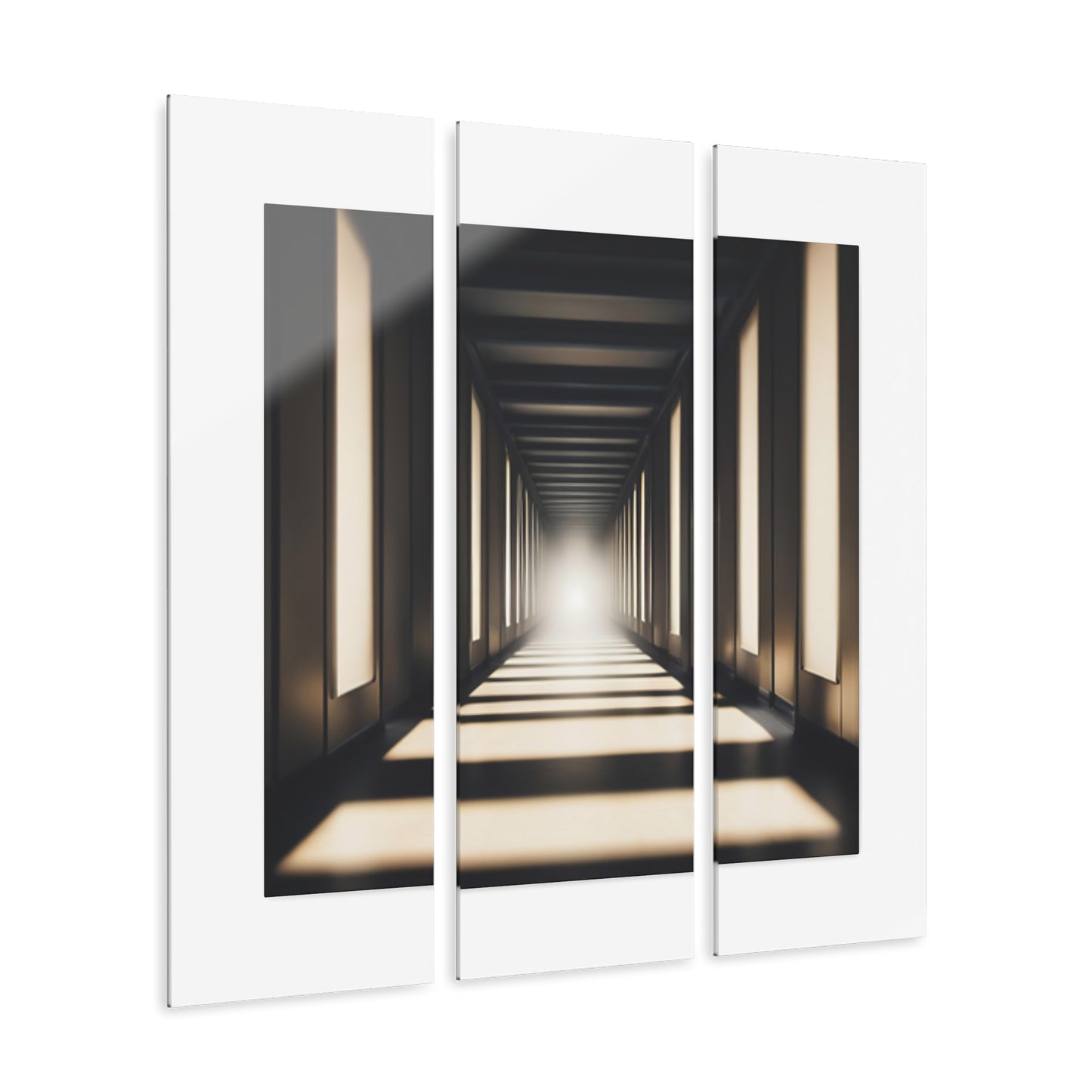 Photography Wall Art, set of 3 Acrylic Panels (Triptych)